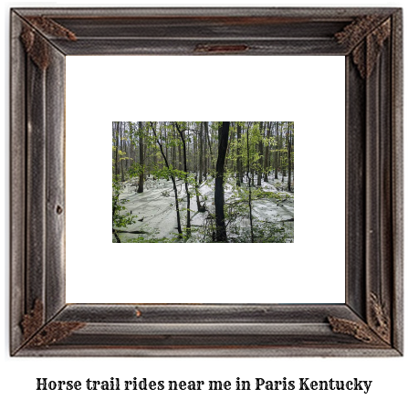 horse trail rides near me in Paris, Kentucky